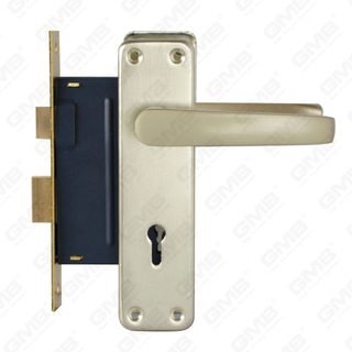 Juego de cerradura de puerta de alta seguridad con pestillo Juego de cerradura Manija de cerradura de caja de cerradura (RC229)