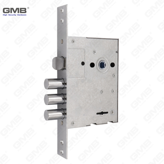 Localización de puerta de alta seguridad Cierro pesado Cuerpo de la puerta externa Mortíaca Lock (818)
