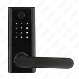 Entrada de llave impermeable estándar estadounidense Tuya/TT Wireless Digital Password Hinglet MF Tarjeta Smart Door Lock (A014)