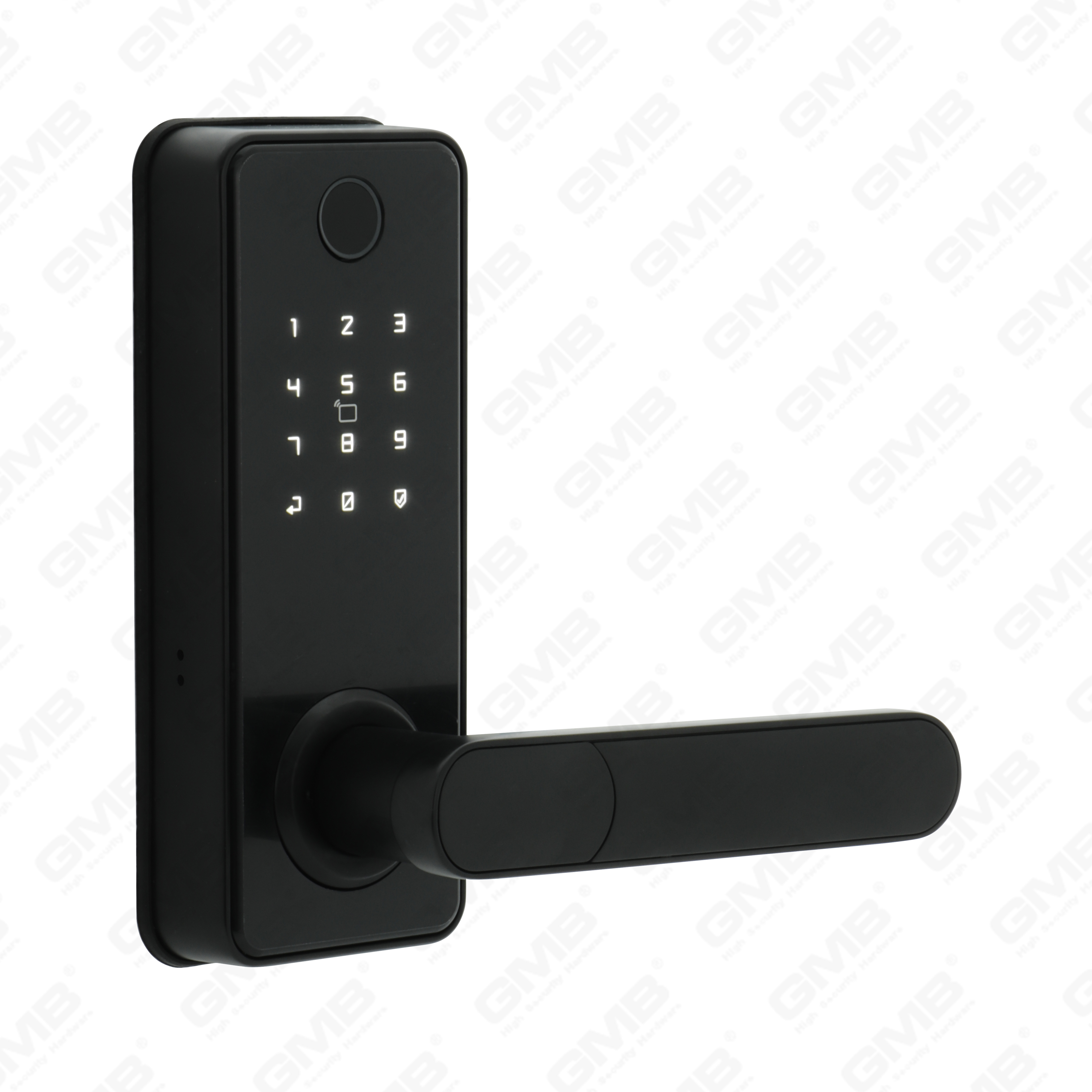 Entrada de llave impermeable estándar estadounidense Tuya/TT Wireless Digital Password Hitrewprint MF Tarjeta Smart Door Lock (A012)