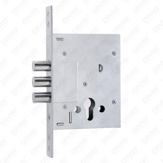 Cerradura de puerta exterior de alta seguridad/Cuerpo de cerradura resistente/Cerradura de puerta embutida (257L-C)