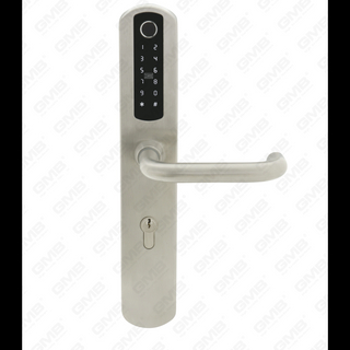 Entrada impermeable europea sin agua TT TT Wireless Digital Passion Phipirprint MF Tarjeta Smart Door Lock (U021)