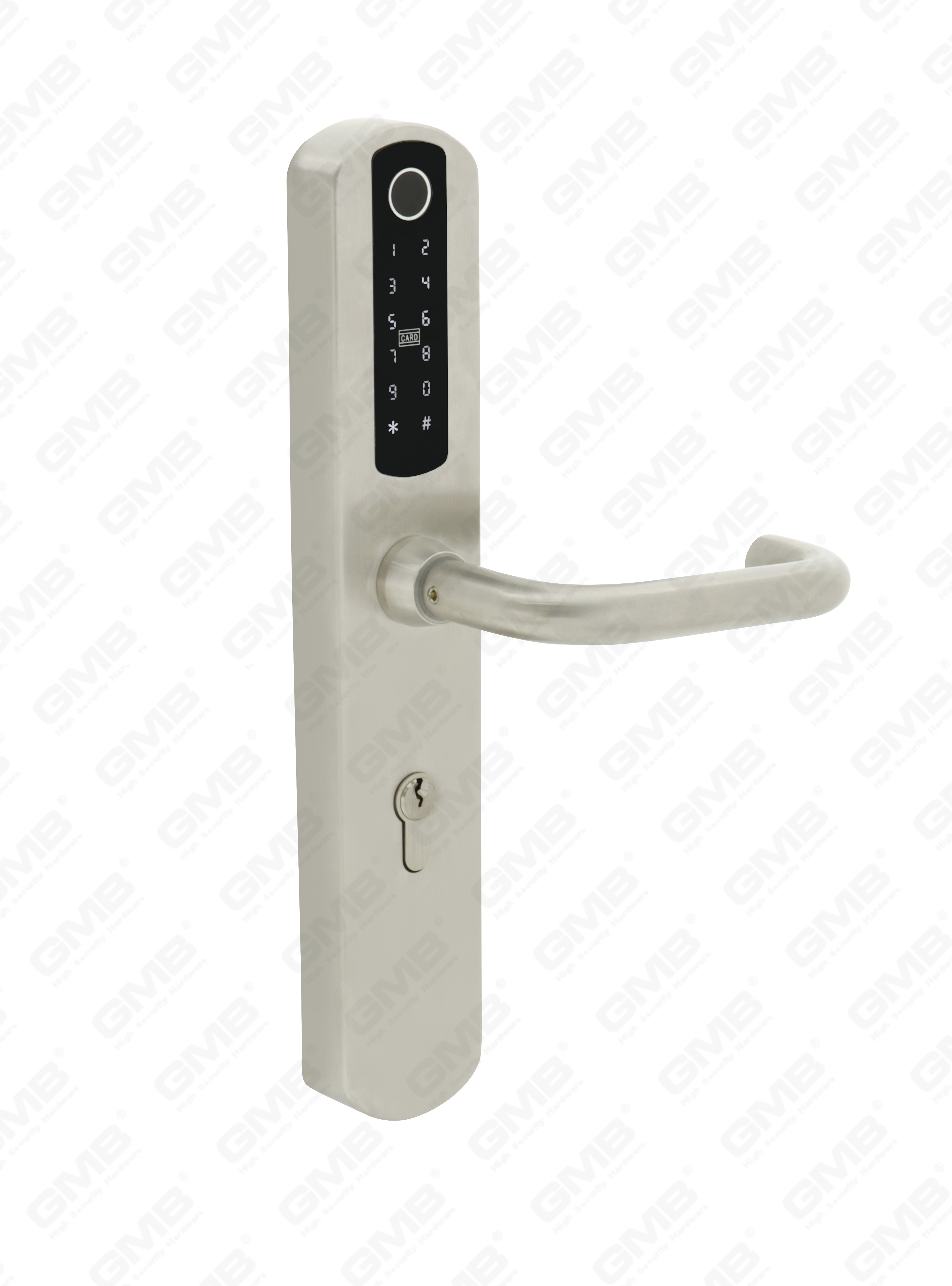 Entrada impermeable europea sin agua TT TT Wireless Digital Passion Phipirprint MF Tarjeta Smart Door Lock (U021)