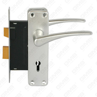 Juego de cerradura de puerta de alta seguridad con pestillo Juego de cerradura Manija de cerradura de caja de cerradura (RC02)
