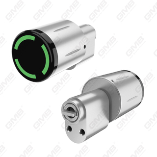 Biométrico Smart NFC Contraseña de contraseña Cilindro electrónico Cilindro (3A03)