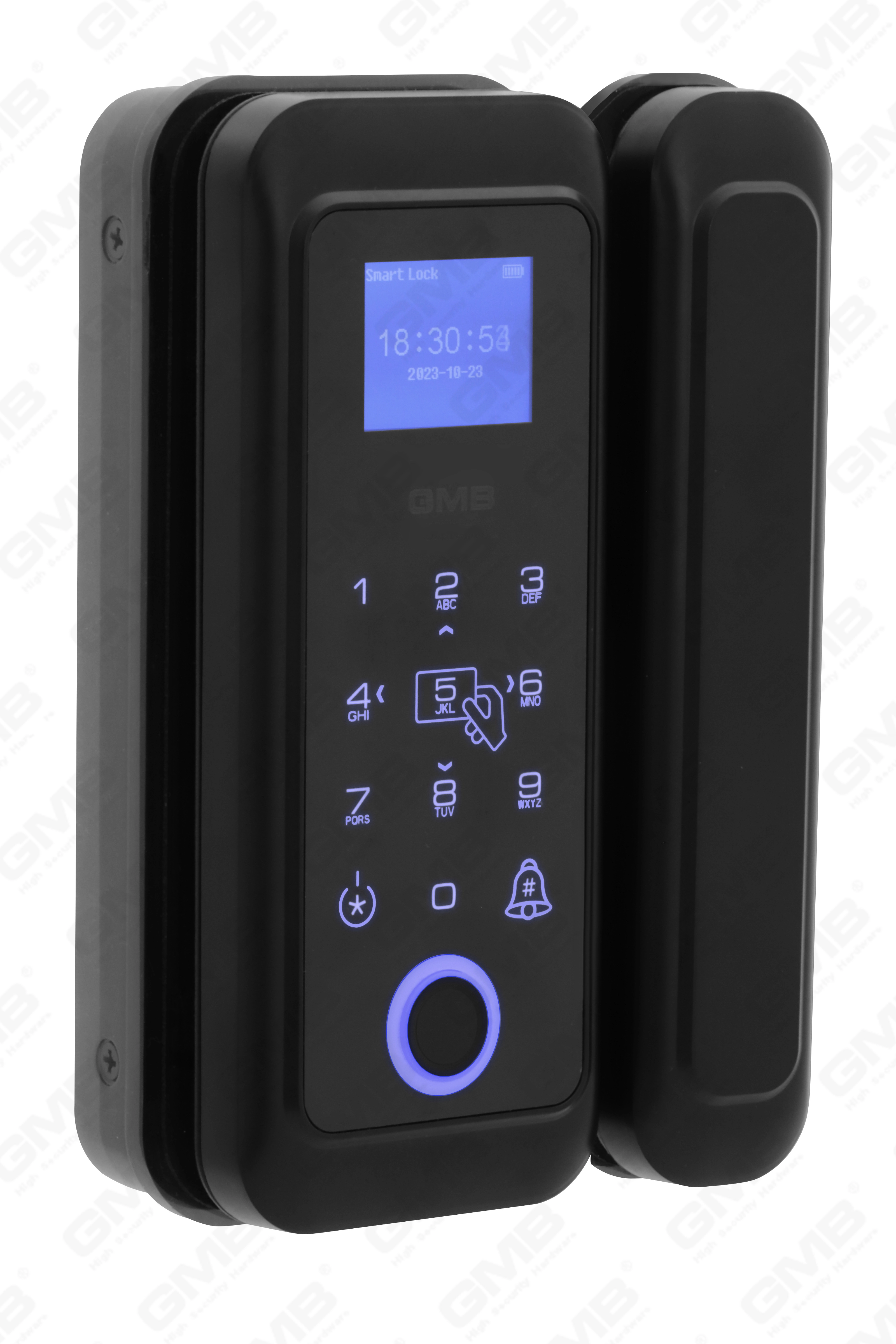 Huella digital de alta seguridad/tarjeta RFID/WiFi/Tuya/TT App Lock Digital Smart Glass Poor (254)