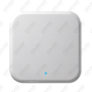 Ttlock Gateway Wifi Smart Digital Gateway para control remoto de bloqueo inteligente (G2)