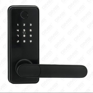 Entrada de llave impermeable estándar estadounidense Tuya/TT Wireless Digital Password Hitrewprint MF Tarjeta Smart Door Lock (A012)