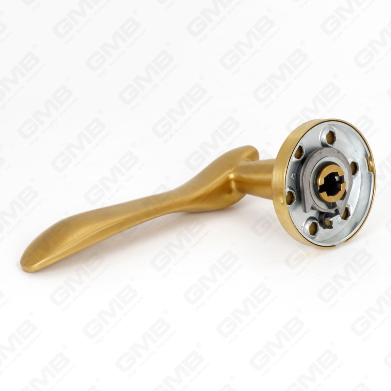 Alta calidad BS En1906 Grado 4 SUS304 Manija de palanca de puerta interior de rosa redonda de entrada de acero inoxidable (LHT012)