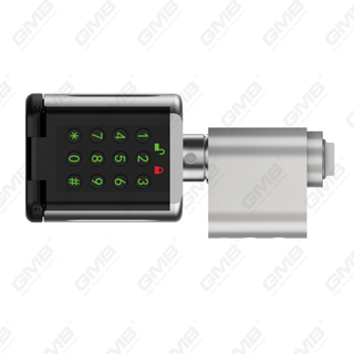 Formas múltiples de alta seguridad de la contraseña IP66 Contraseña de huellas digitales Wifi Wifi Digital Modular perfil modular Tuya/TT App Smart Electronic Lock Cylinder (5D03)