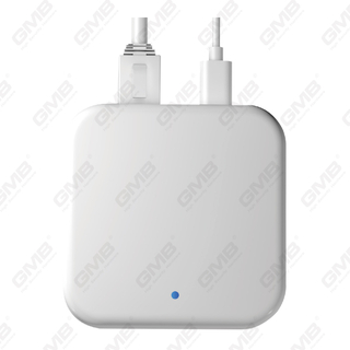 G3 Gateway Ttlock Tthotel WiFi Conexión para cerraduras de puertas inteligentes (G3)