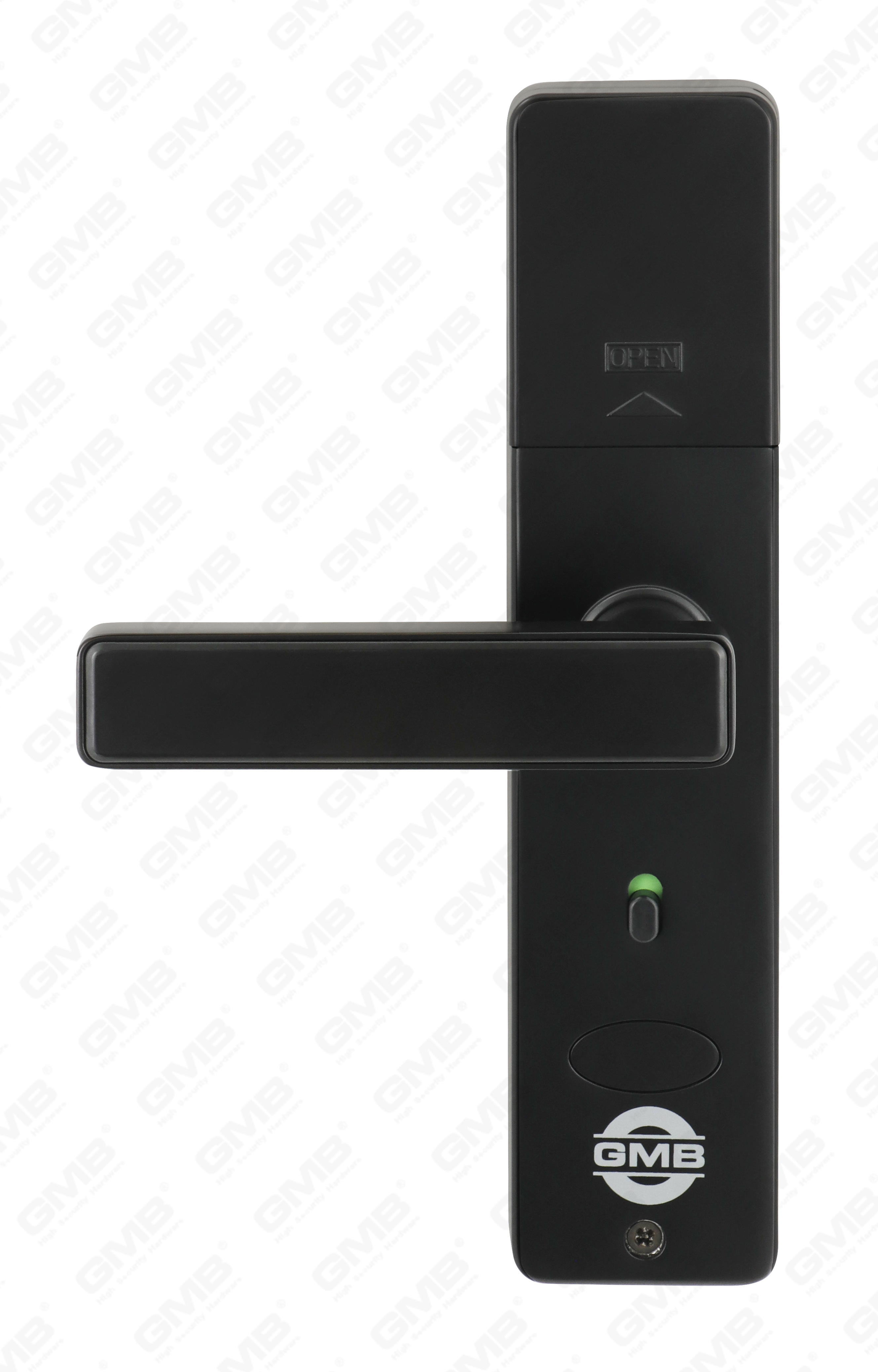 Tarjeta de huella digital/rfid de alta seguridad/Aplicación WiFi/Tuya/TT con cámara de puerta inteligente inteligente de puerta inteligente inteligente (660p)