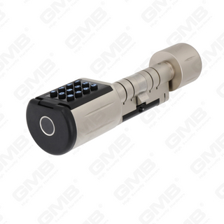 Formas múltiples de alta seguridad de la contraseña IP66 Contraseña de huellas dactilares sin llave Wifi Digital Modular perfil modular Tuya/TT App Smart Electronic Lock Cylinder (5D01)