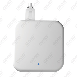 G3P Wifi Ble Poe Ttlock Gateway para bloqueo inteligente y otros dispositivos Ttlock (G3P)