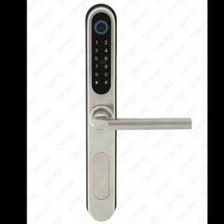 Entrada de llave impermeable estándar europea Tuya/TT Wireless Digital Password Hinglet MF Tarjeta NFC Smart Door Lock (U052)