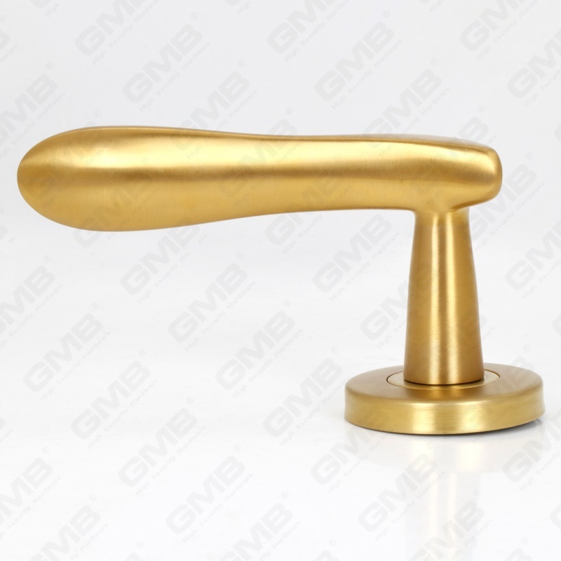 Alta calidad BS En1906 Grado 4 SUS304 Manija de palanca de puerta interior de rosa redonda de entrada de acero inoxidable (LHT012)