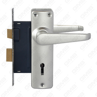 Juego de cerradura de puerta de alta seguridad con pestillo Juego de cerradura Manija de cerradura de caja de cerradura (RC680-95)