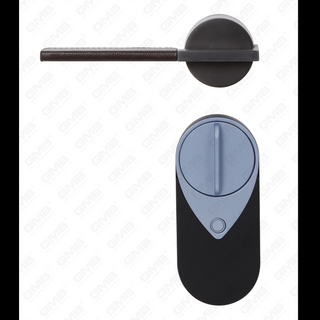 Entrada europea sin llave de la aplicación Tuya Password Hingerprint Remote Wireless Digital Smart Door Lock (U012)