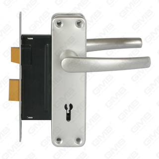 Juego de cerradura de puerta de alta seguridad con pestillo Juego de cerradura Manija de cerradura de caja de cerradura (RC01)