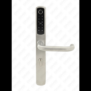 Entrada impermeable europea sin agua TT TT Wireless Digital Passion Fingerprint MF Tarjeta Smart Door Lock (U018)