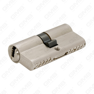 En1303 Cilindro de cerradura de puerta de latón de perfil europeo de alta seguridad con chavetero de serpiente (G170 PRO 64)