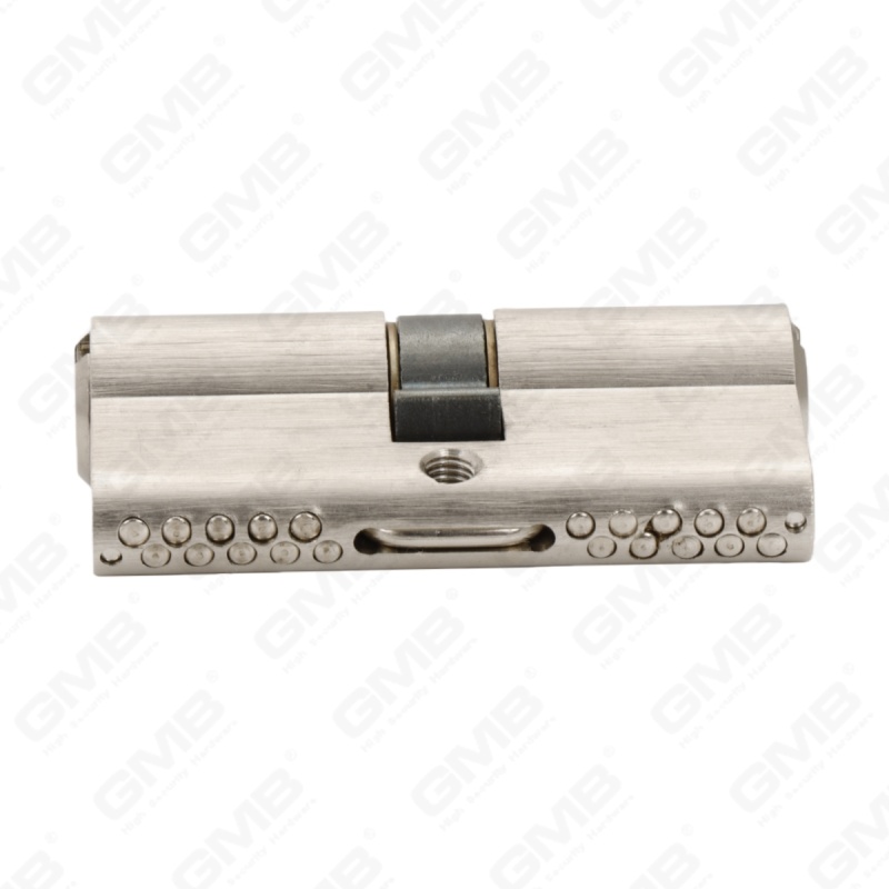 En1303 Cilindro de cerradura de puerta de latón de perfil europeo de alta seguridad con chavetero de serpiente (G170 PRO 64)