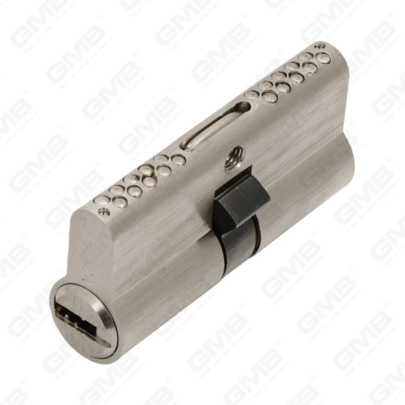 En1303 Cilindro de cerradura de puerta de latón de perfil europeo de alta seguridad con chavetero de serpiente (G170 PRO 64)