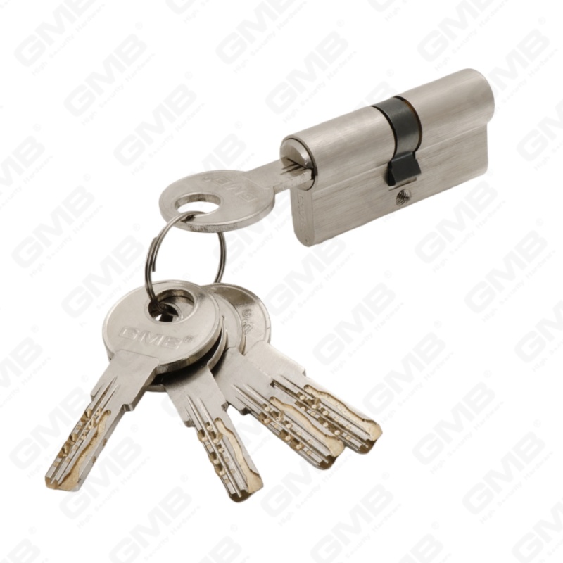 En1303 Cilindro de cerradura de puerta de latón de perfil europeo de alta seguridad con chavetero de serpiente (G170 PRO 64)