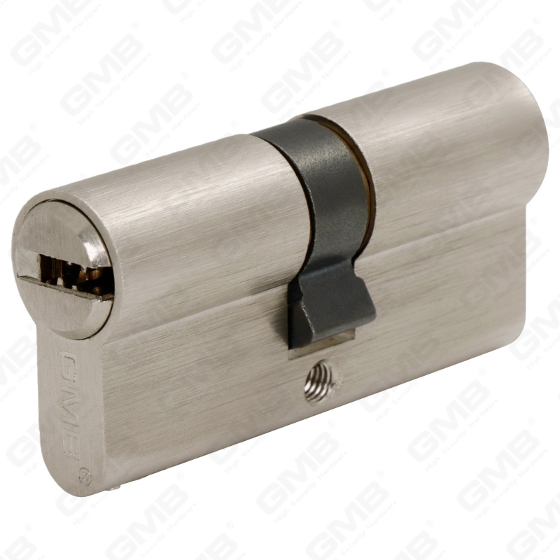 En1303 Cilindro de cerradura de puerta de latón de perfil europeo de alta seguridad con chavetero de serpiente (G170 PRO 64)